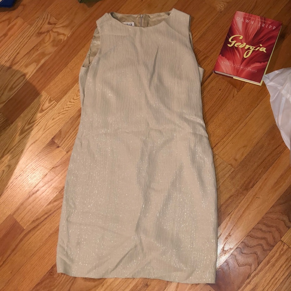 Vintage sparkle beige dress